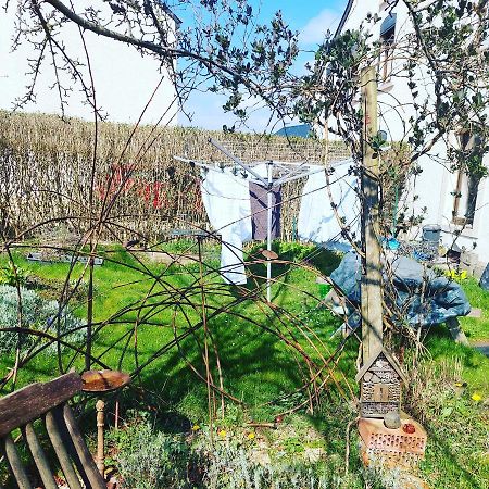 B&B A Quiet Place Tintigny Exterior foto